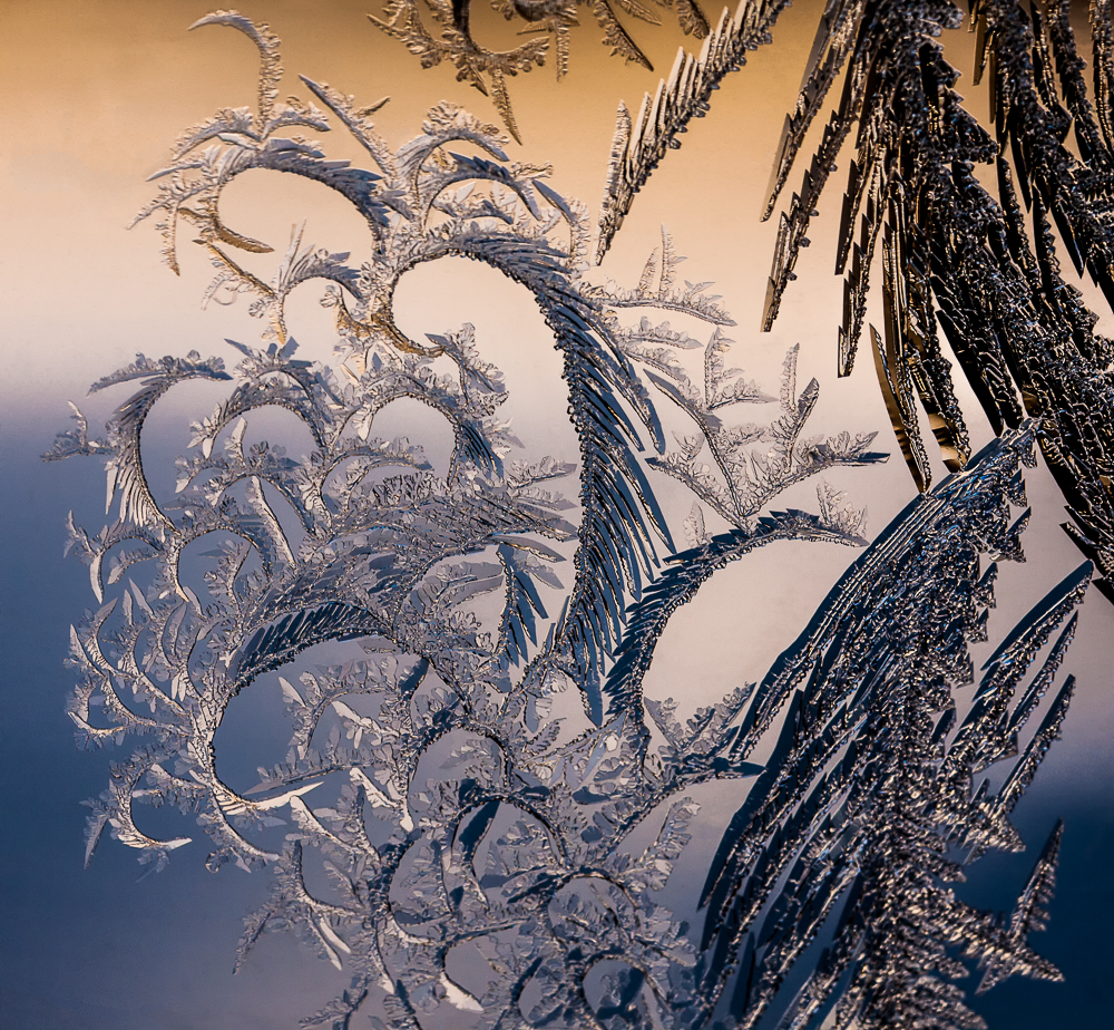 Frost