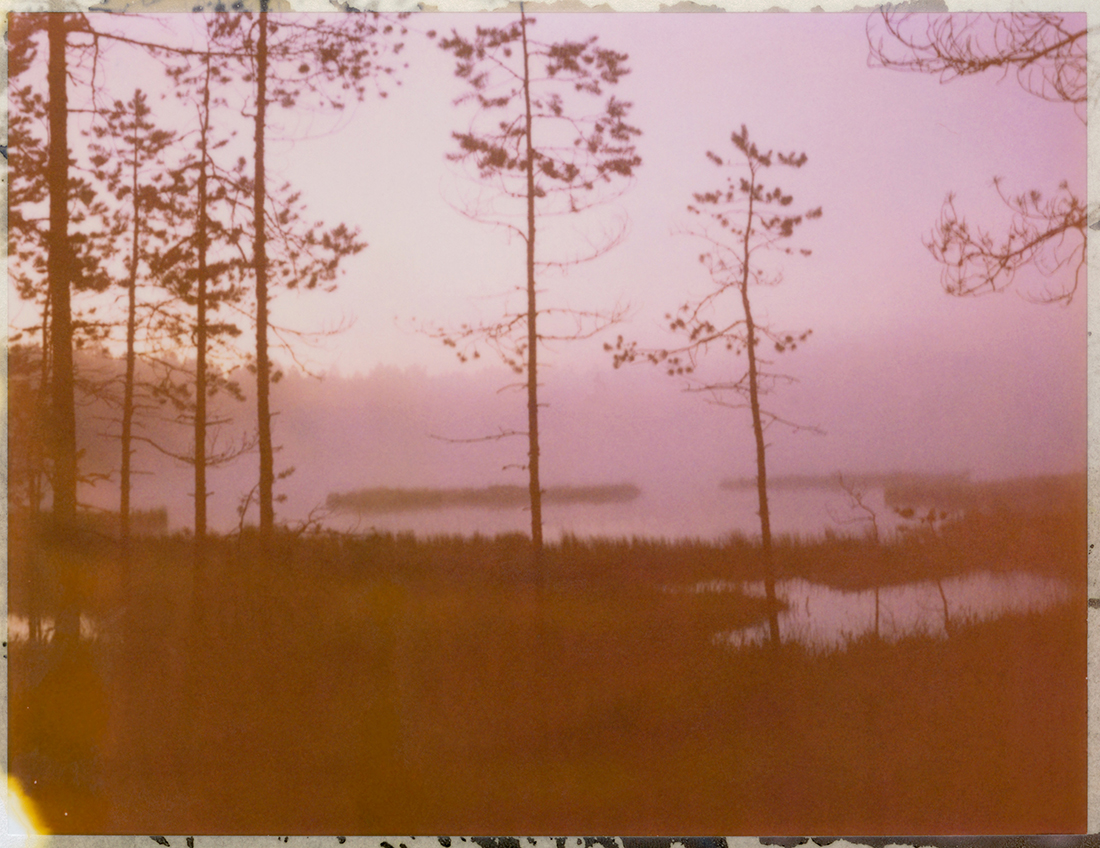 Wetlands