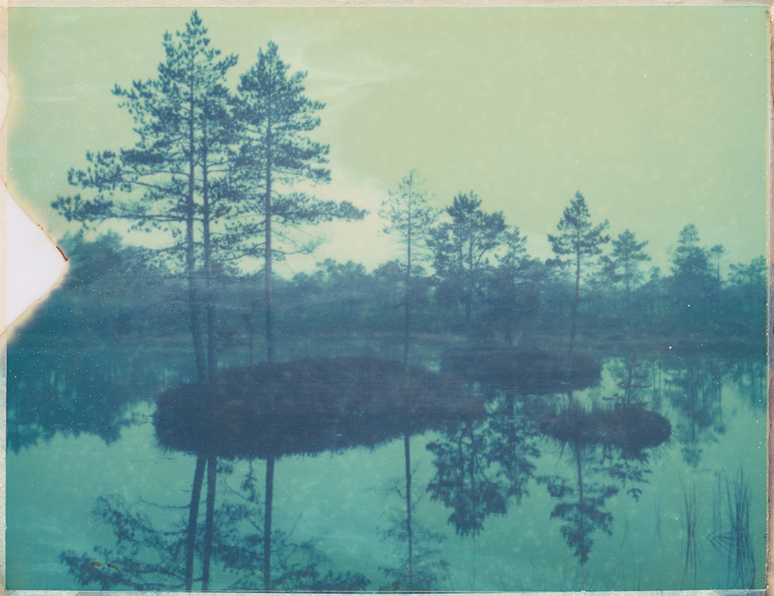 Wetlands