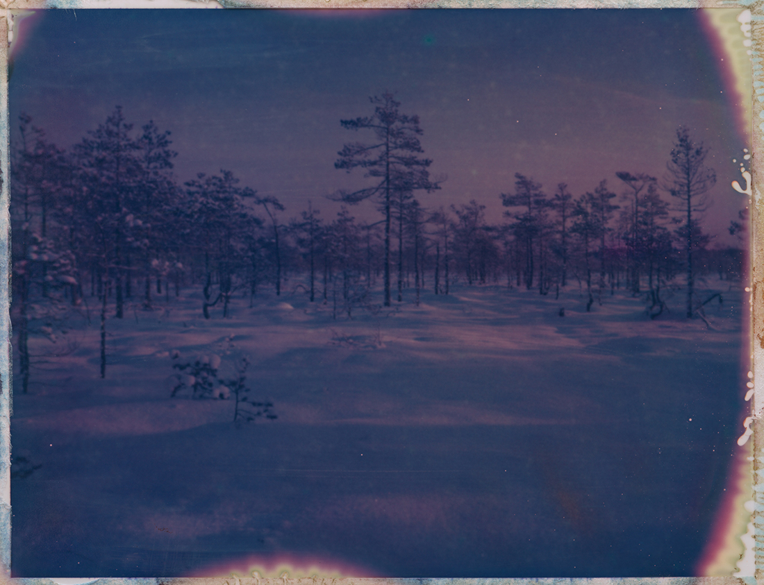 Wetlands
