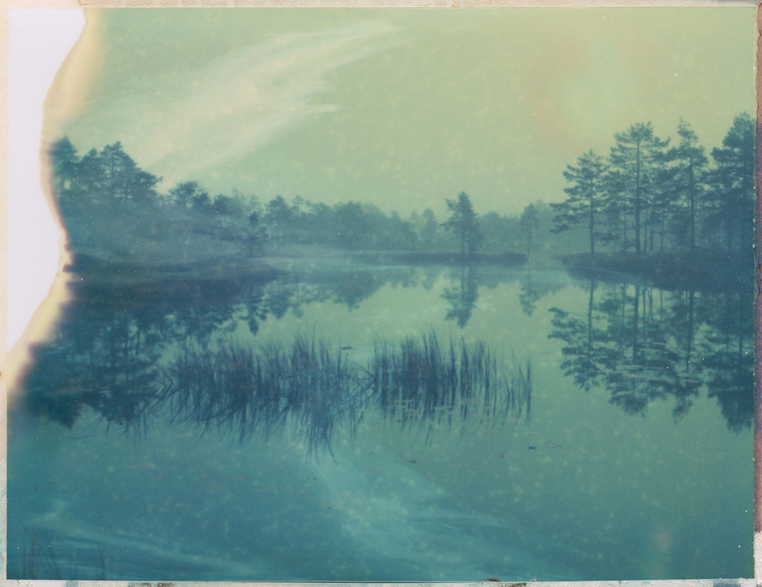 Wetlands