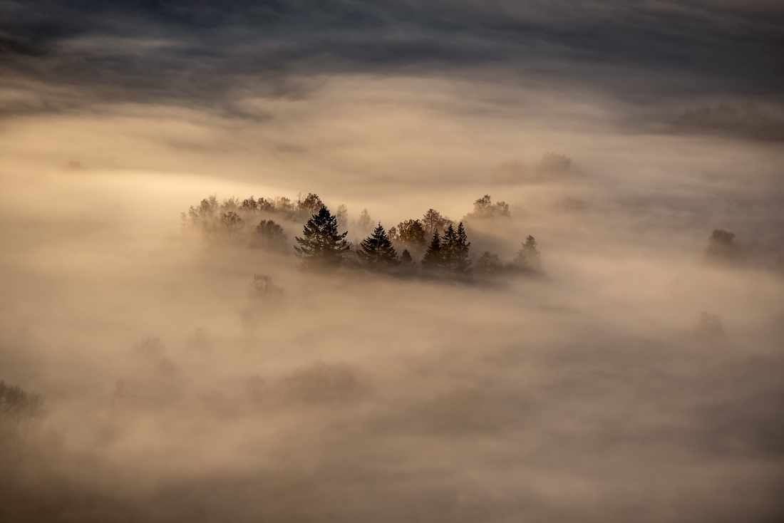 Misty autumn