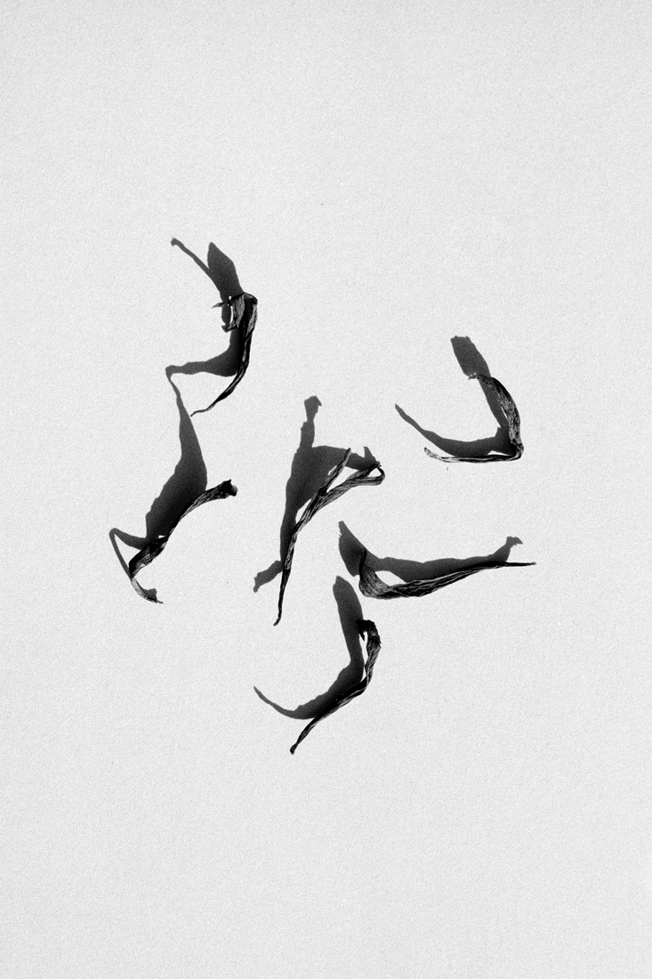 Dancers