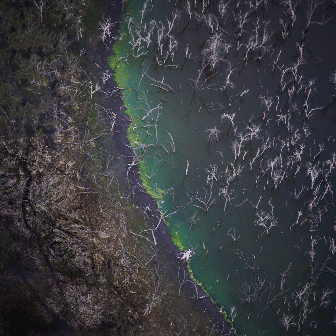 Aerial Expressions