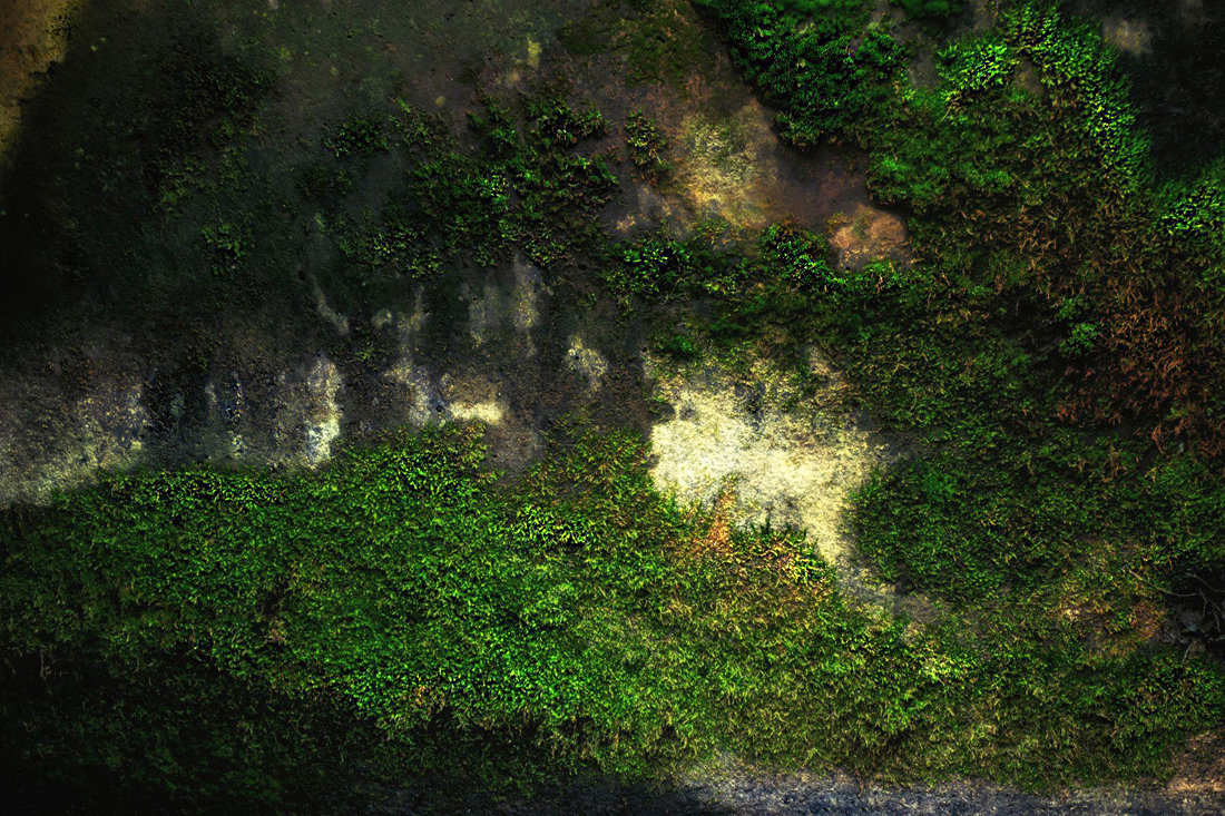 Early Earth