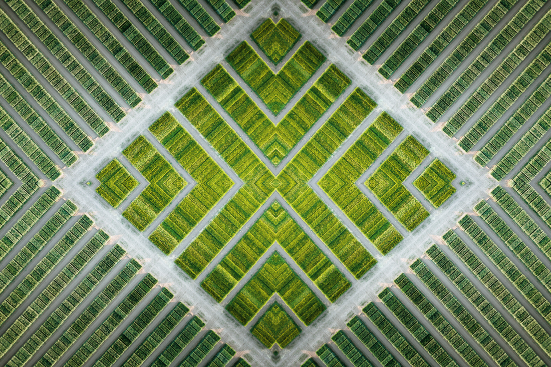 SCHOENEFORMENSEHEN