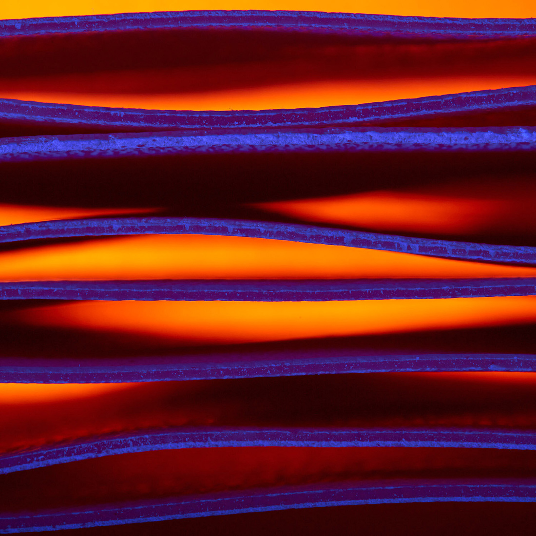 the Neon