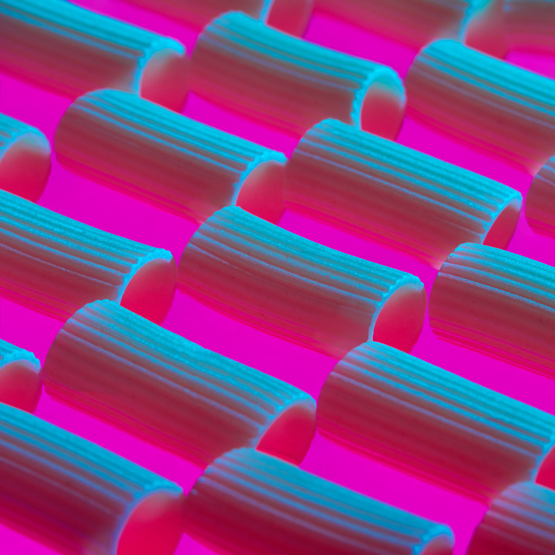 the Neon
