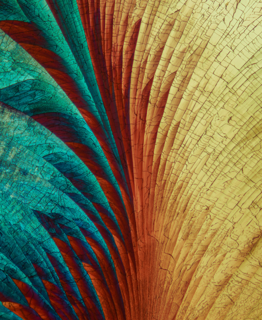 Polychromo