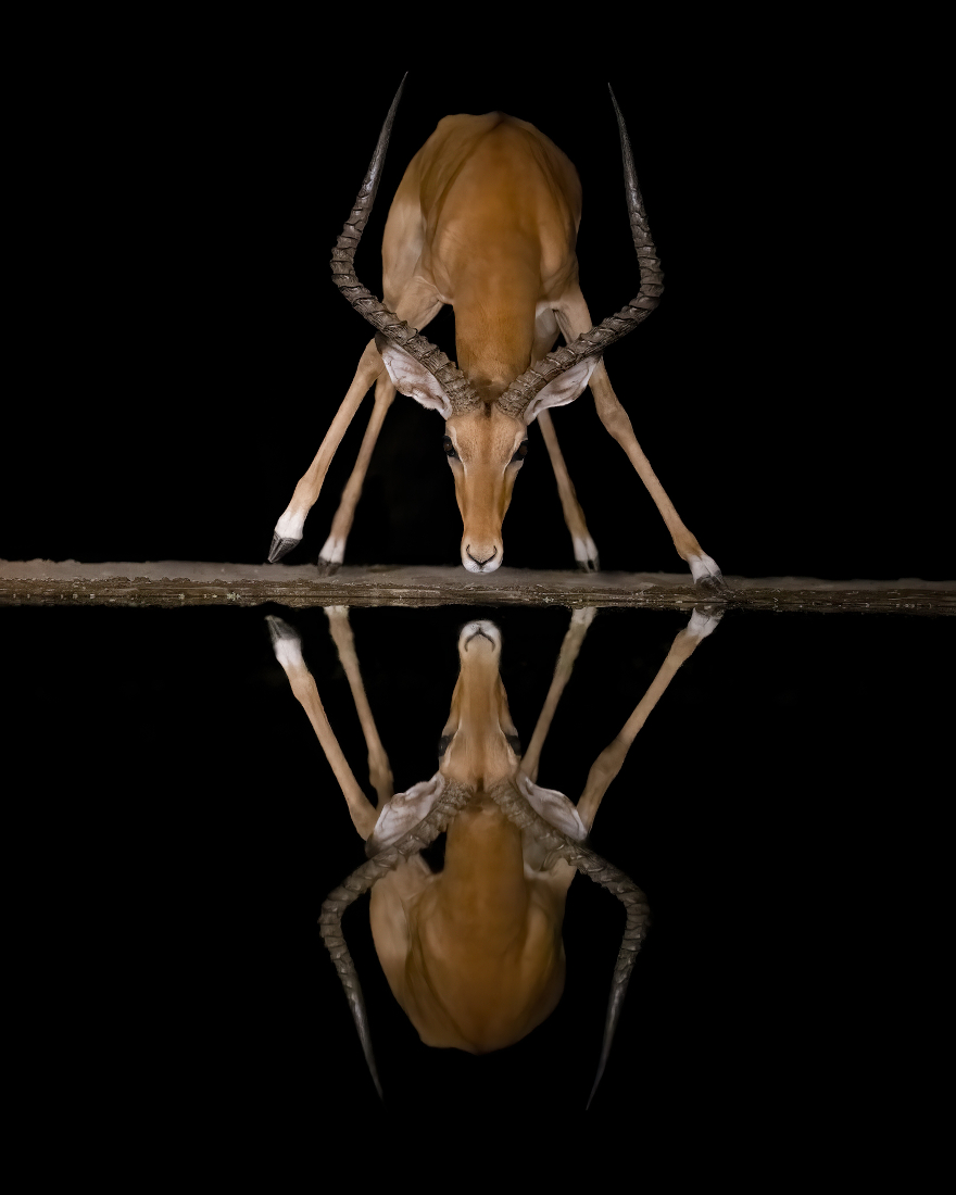 Night reflections