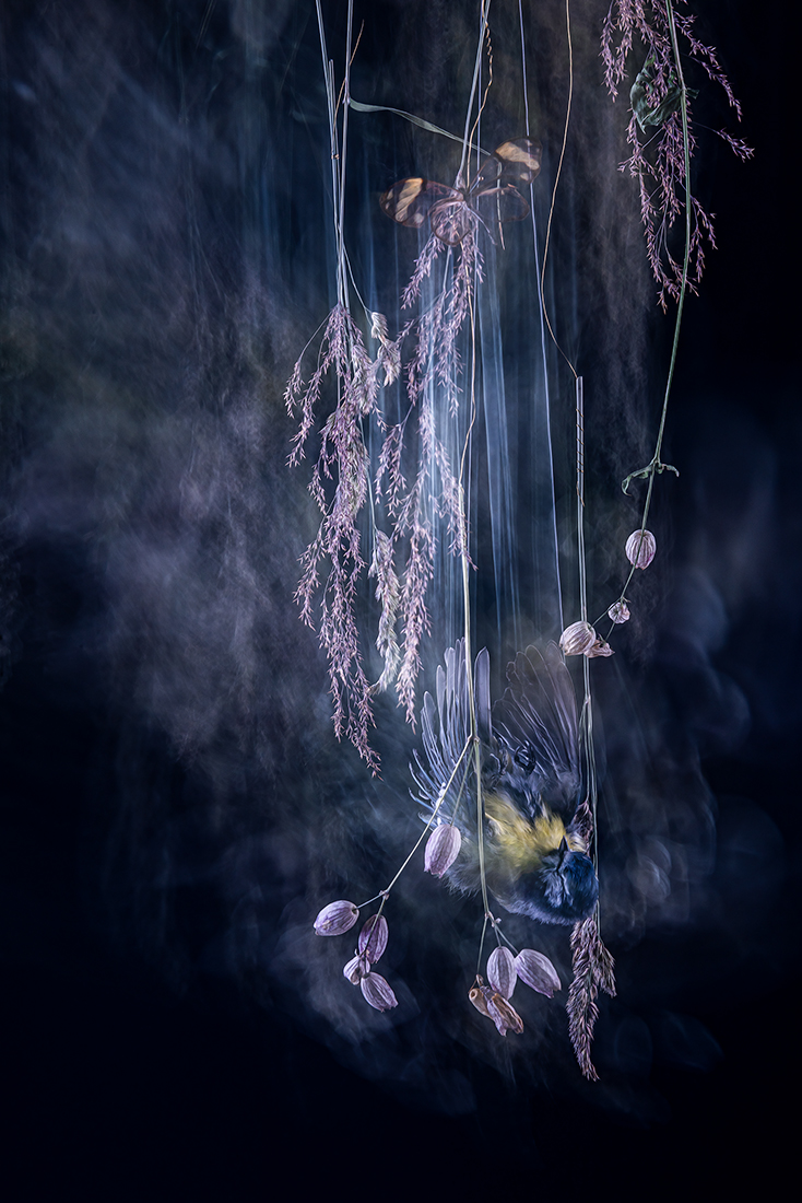 Falling