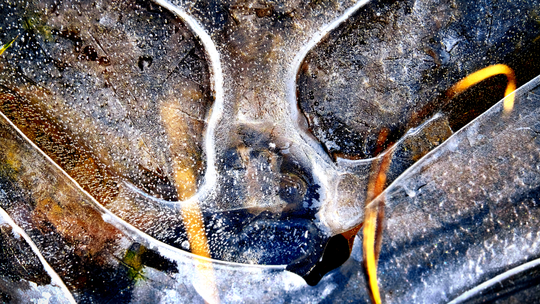 Cold Lines