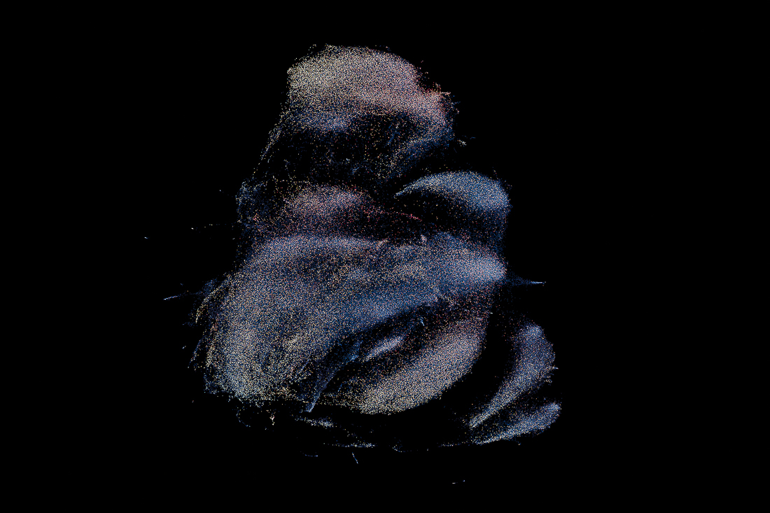 CYTO-GALAXIES