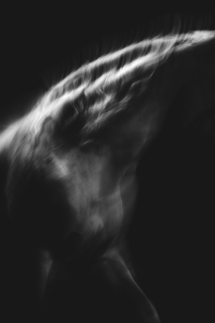 Spirit in the dark