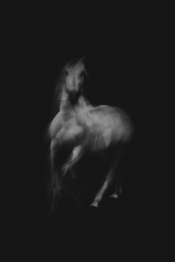 Spirit in the dark