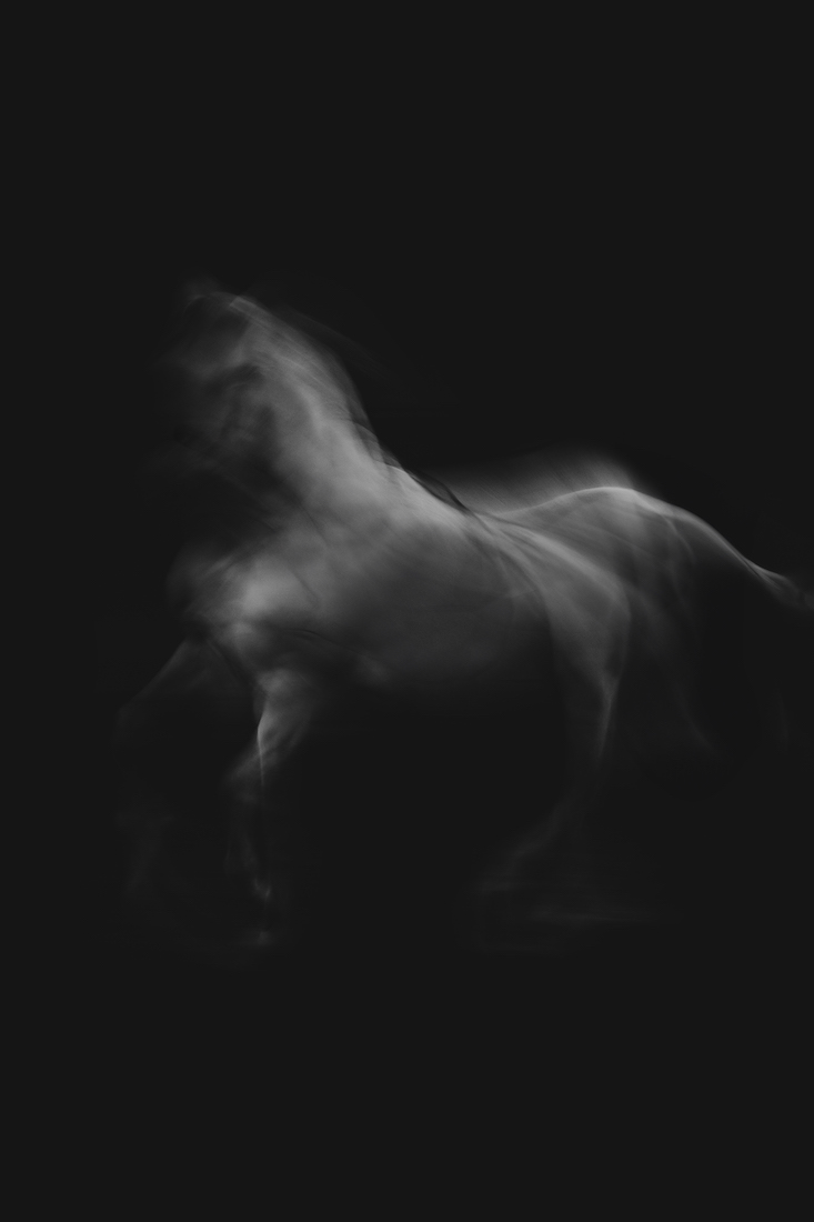 Spirit in the dark