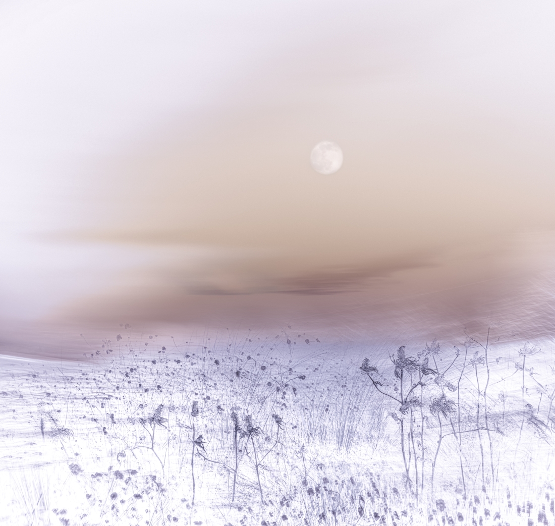 Venus