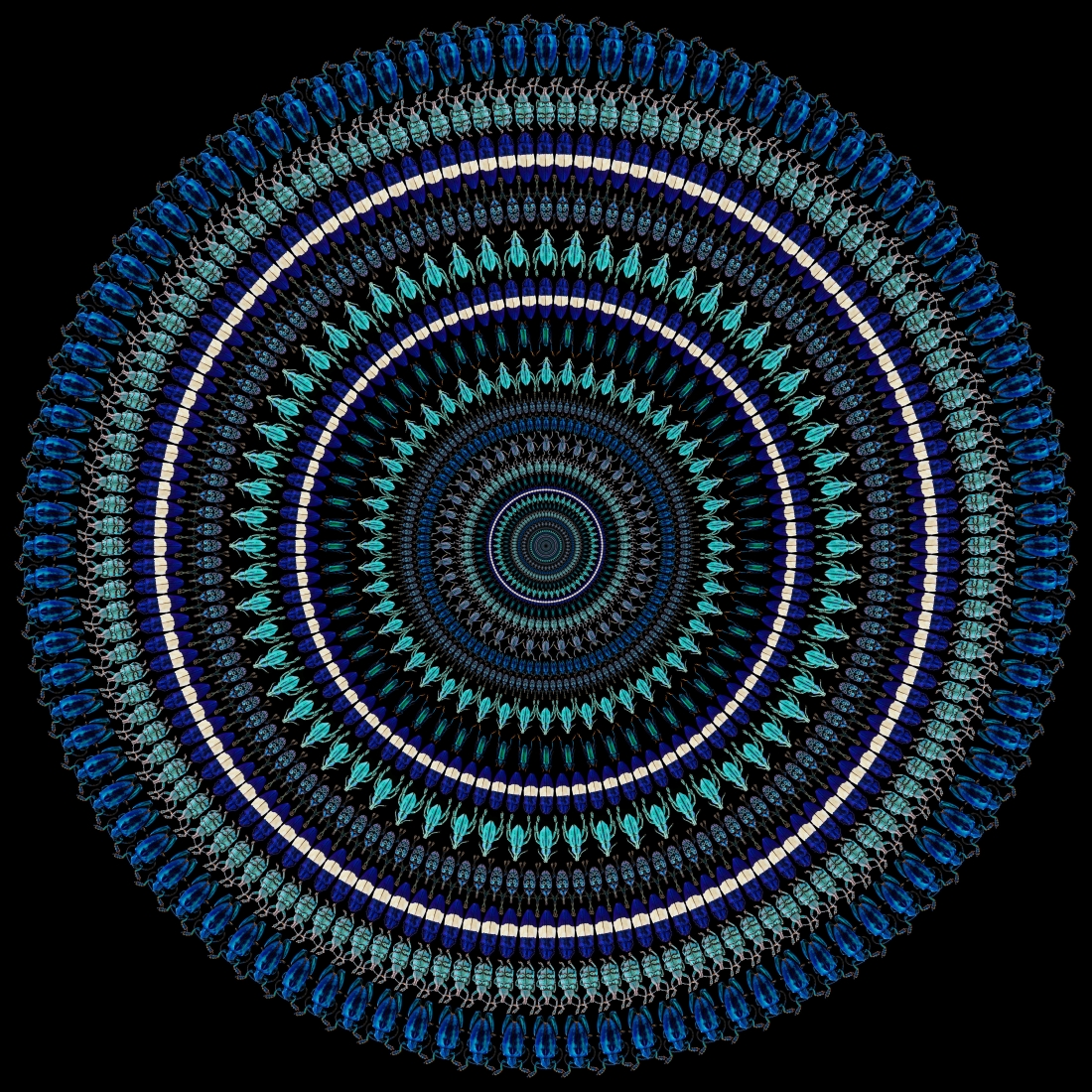 ILLUSION