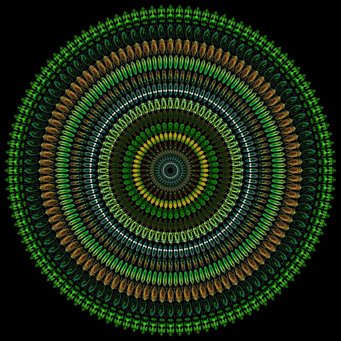 ILLUSION
