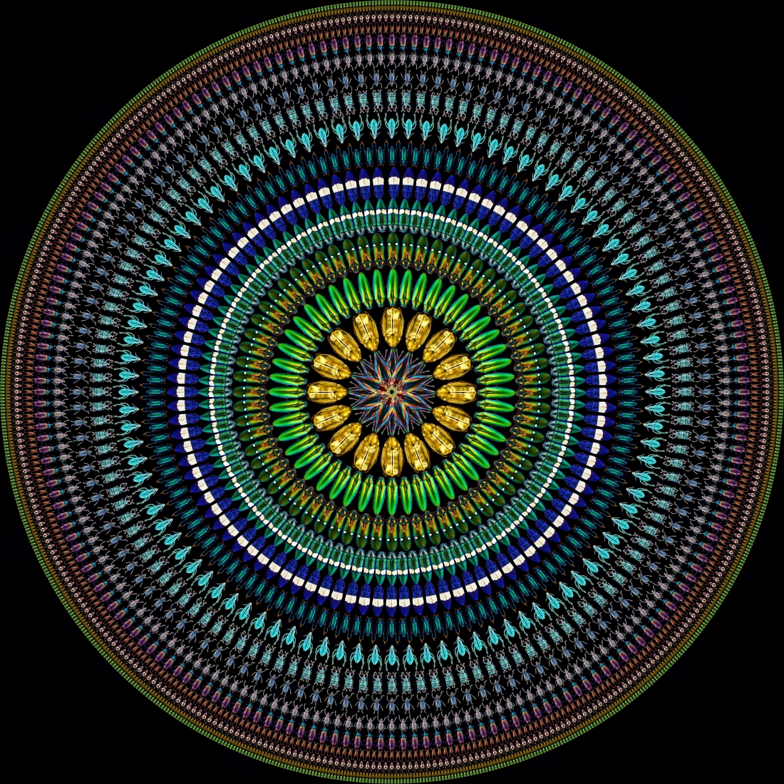 ILLUSION