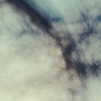 Winter trees