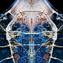 Fractalizations