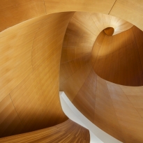 The Curve 