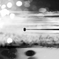My Solitude World