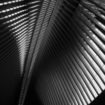 Oculus Ribs