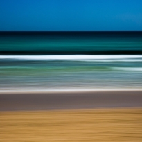 Nature in Motion