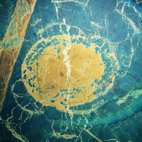 Residual Worlds