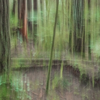 Lens Painting