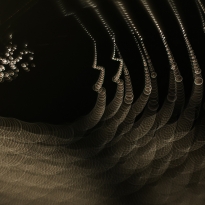 Spider Webs