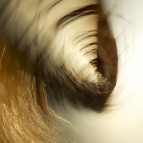 Quantum