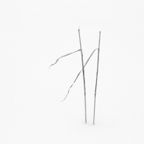 Grass blades