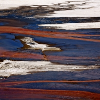 Nature's Canvas