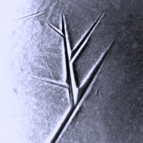 Frozen symbols