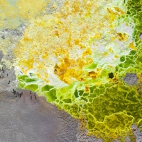 Toxic terrain