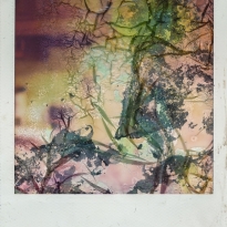 untitled snapshot