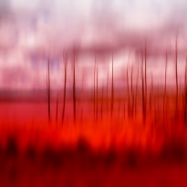(untitled)