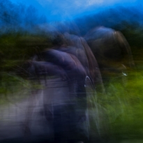 The Veil