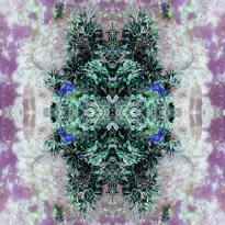 The Imaginarium 