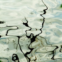 reflected