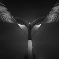 Heart of steel