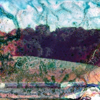 View from window