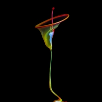 GLOBS SPLASH
