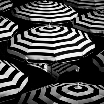 Hypnotic Circles