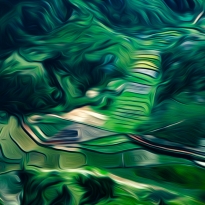 Fields of Green 