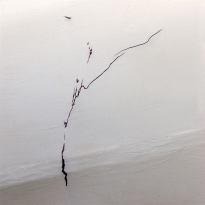Water Lines