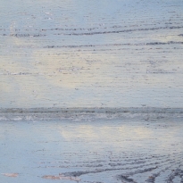Surface View